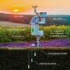 AI in Agriculture, Keynote Sunil Khandbahale