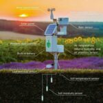 AI in Agriculture, Keynote Sunil Khandbahale